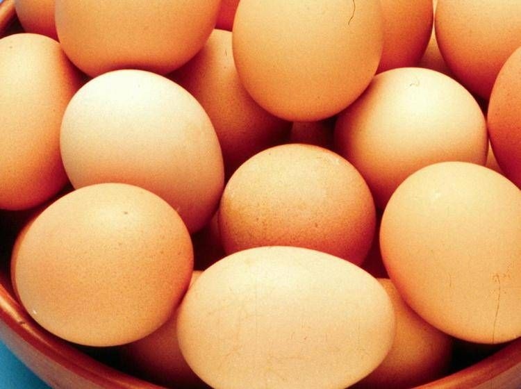 Alert dotyczący salmonelli w USA: prawie 100 przypadków i wycofanie jaj
