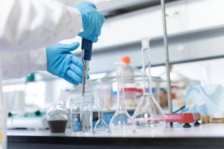 L'hématologie de Bologne ouvre la voie en Italie avec 240 patients traités par Car-T