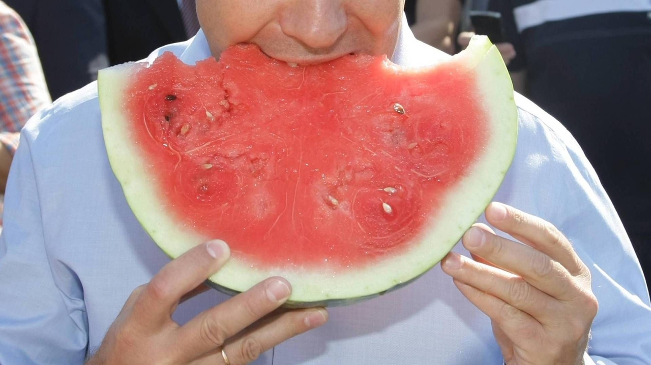 Nutricionista: “contra o calor, melancia e frutas de verão para integrar naturalmente os sais minerais”