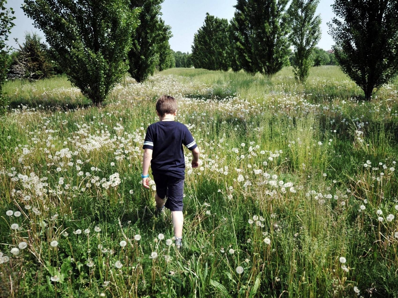 Rural children more at risk of diabetes, study reveals