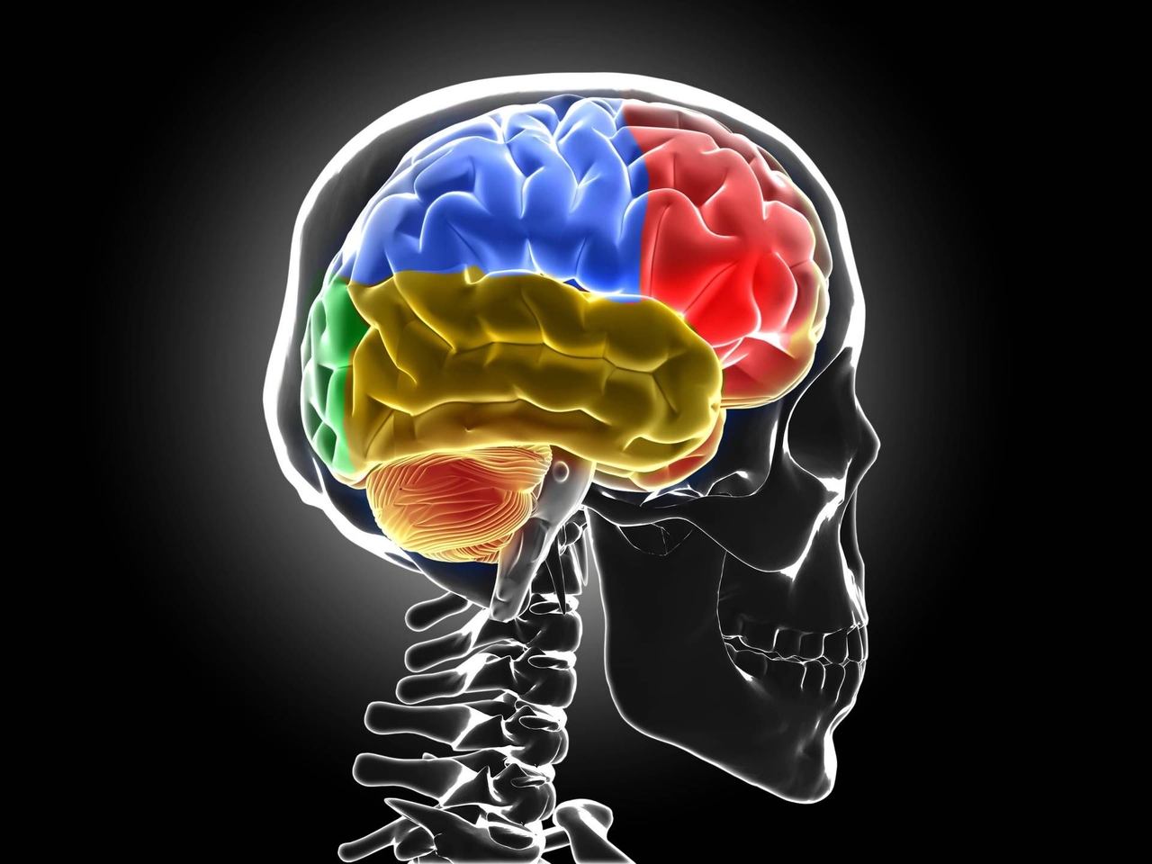 Система промывания мозгов становится опасной: вот что происходит с бессонным мозгом