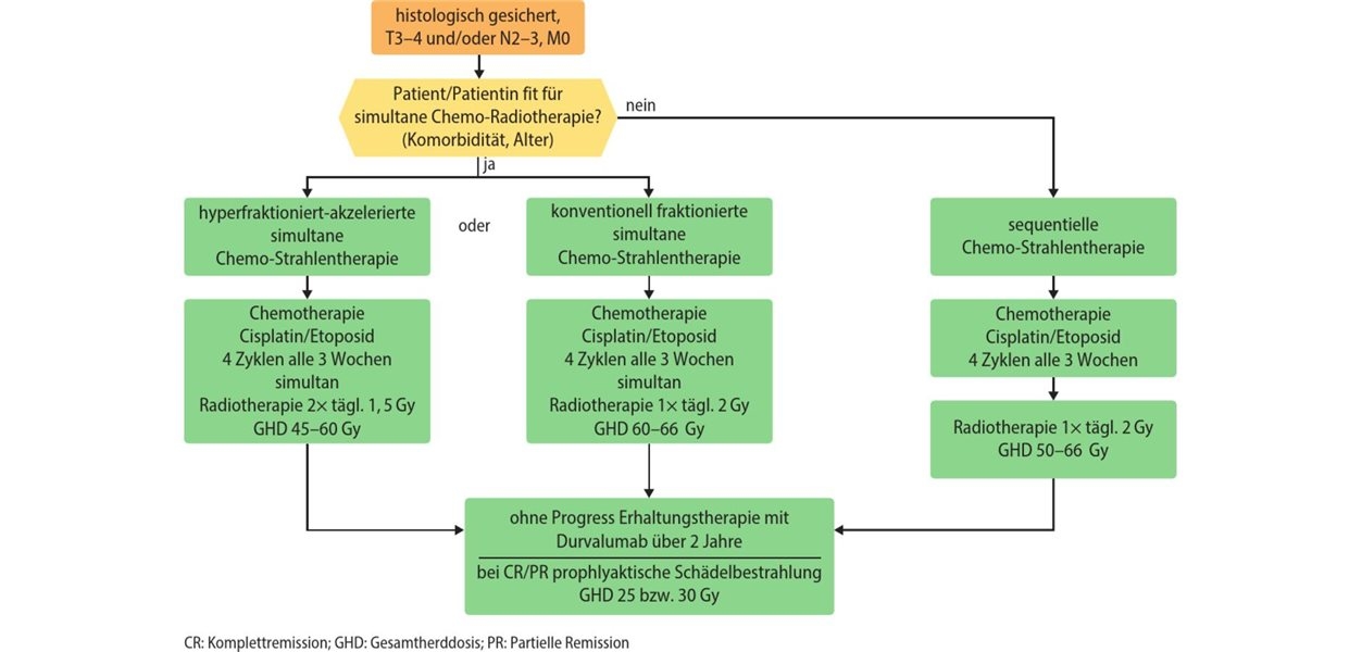 Nieuwe standaard: Durvalumab aanbevolen voor LD-SCLC in S3-richtlijn
