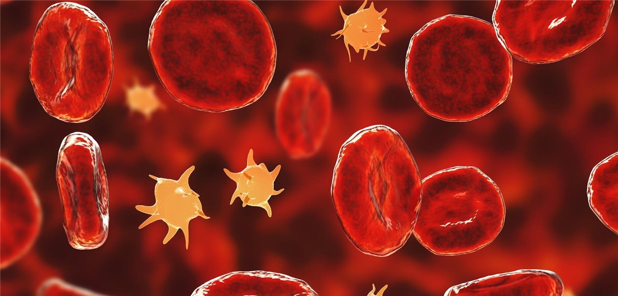 Ein CD38-Antikörper als Chance für die Immunthrombozytopenie