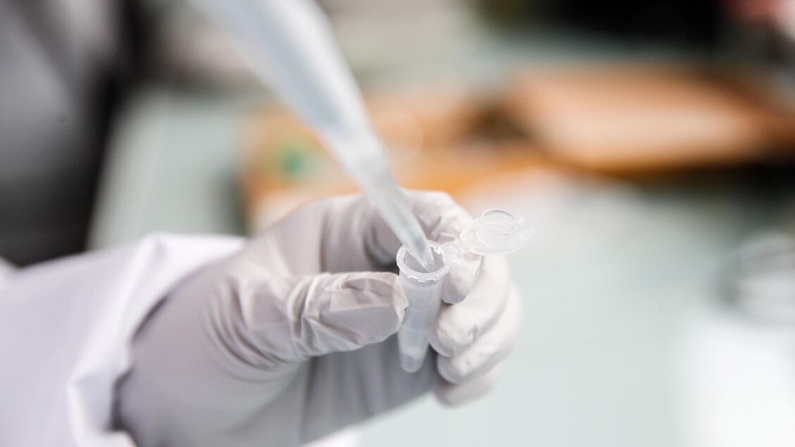 Nasopharyngeal carcinoma: EU approves antibody combined with chemotherapy