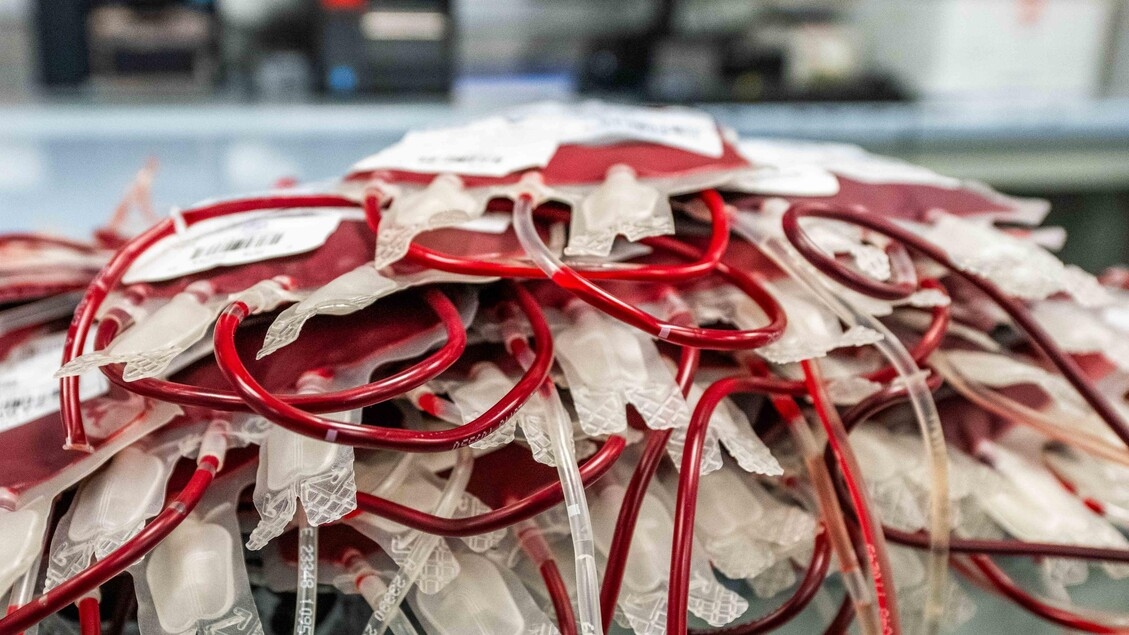 Virus del Nilo Occidental, no se suspende la recolección de sangre, solo se realiza una prueba