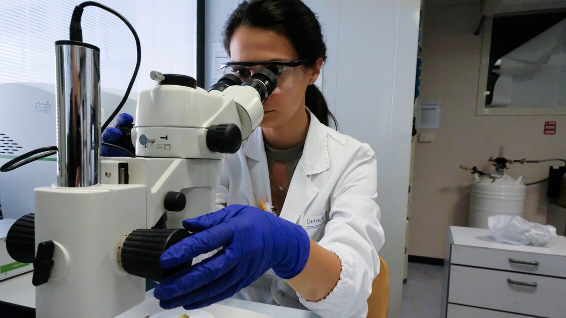 Lung and breast cancer, survival increases with new drugs