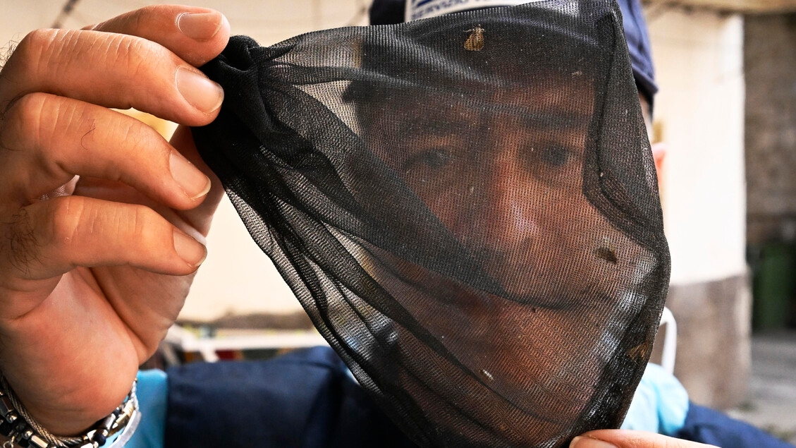 Fourth West Nile virus victim in Lazio: 93-year-old woman dies