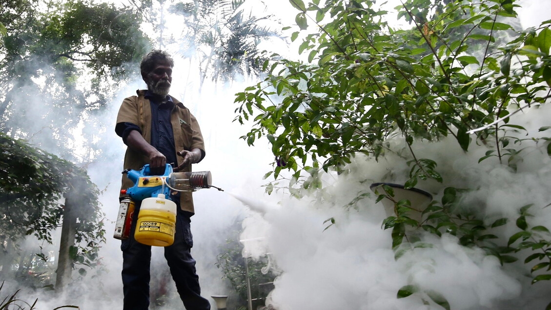 In Italy, 89 cases of West Nile virus have more than doubled in seven days.