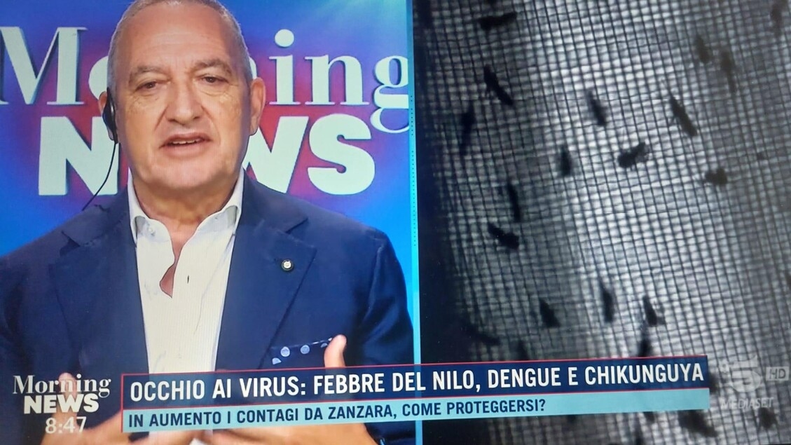 Vaia: Systematic disinfestations are needed to combat West Nile.