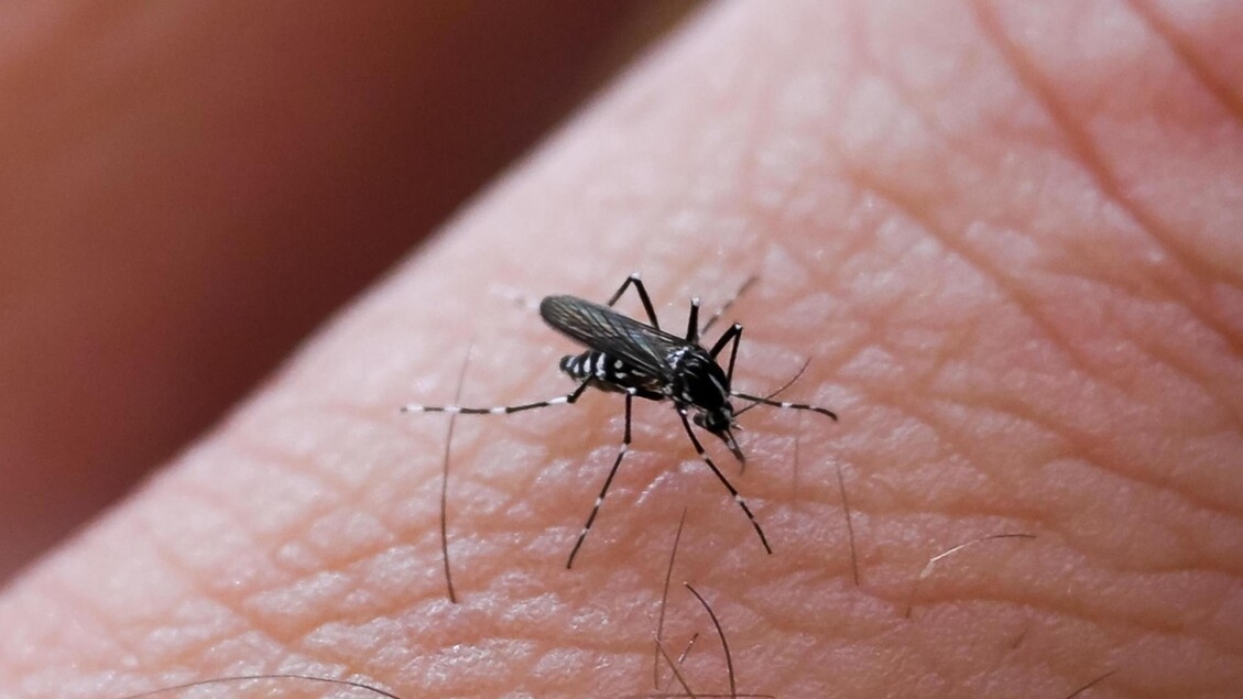 ISS informuje o 430 przypadkach wirusa Zachodniego Nilu we Włoszech i 27 zgonach