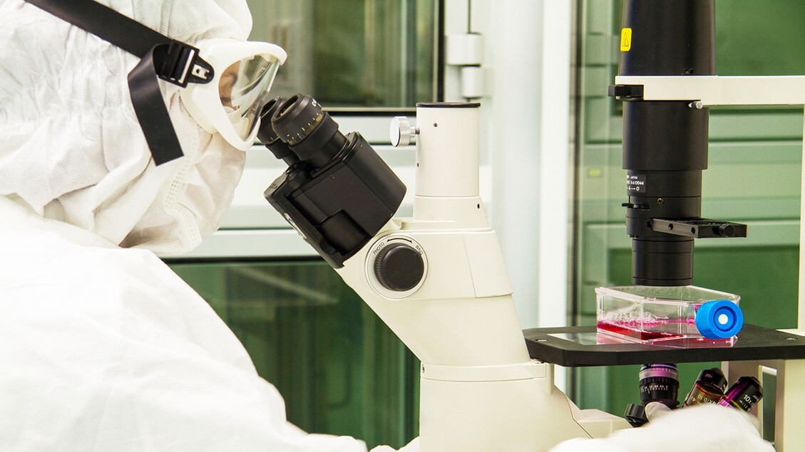 Neuroblastoma: badanie Bambino Gesù potwierdza skuteczność terapii CAR-T
