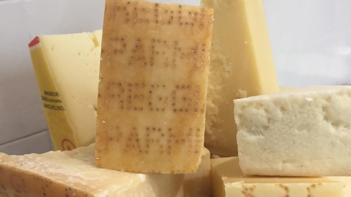 Sery Grana i Parmigiano nie są narażone na zakażenie bakterią Escherichia coli.
