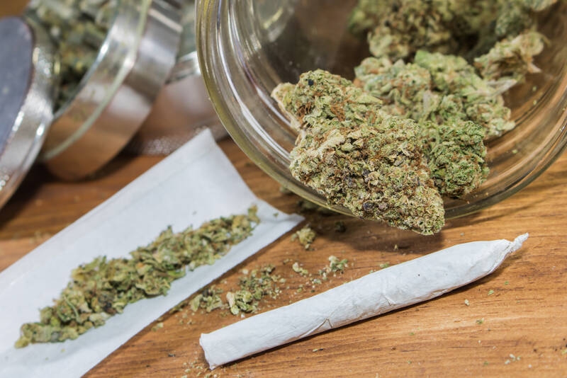 Prohibición de entrega de cannabis: Advertencia sobre la falta de suministro