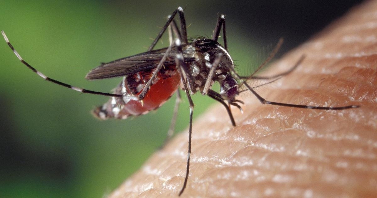 West Nile virus: Fourth victim in Lazio. Italy leads Europe in number of infections.