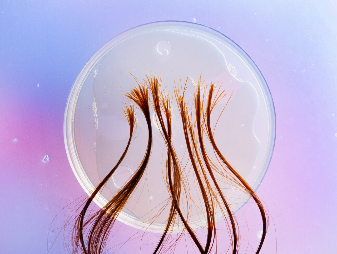 What your hair can tell you about your health