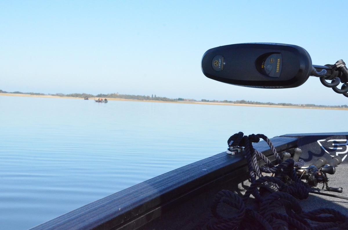 Птичий грипп: рыбаков Дера попросили убрать удочки