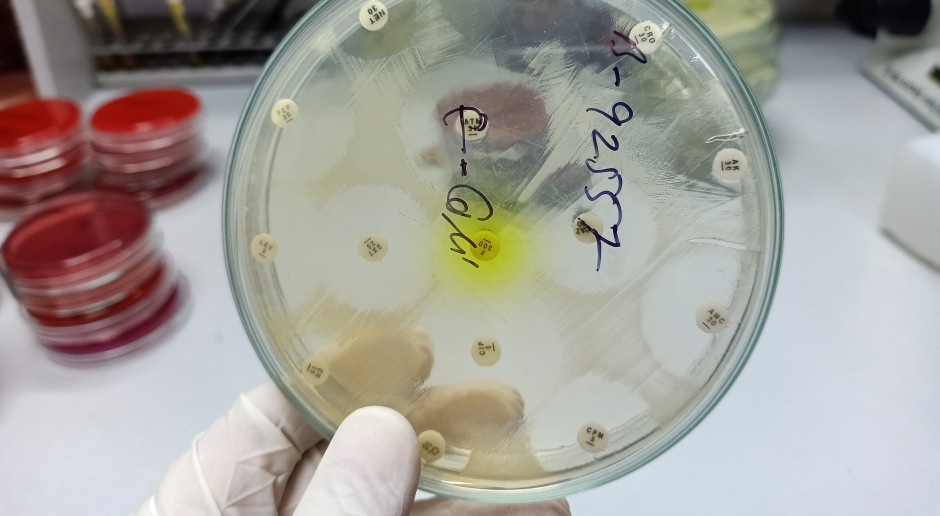 "Sta superando i progressi della medicina." La minaccia è in aumento ed è stato emesso un nuovo allarme.