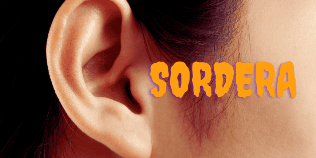 Diseases that can cause deafness