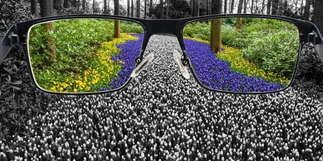 Renk körlüğünü tespit etmek için hangi testler yapılır?