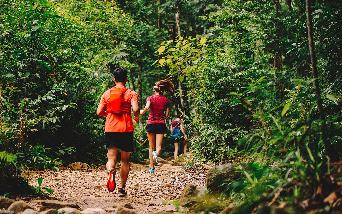 Une course solidaire pour les maladies digestives organisée au parc de Parilly